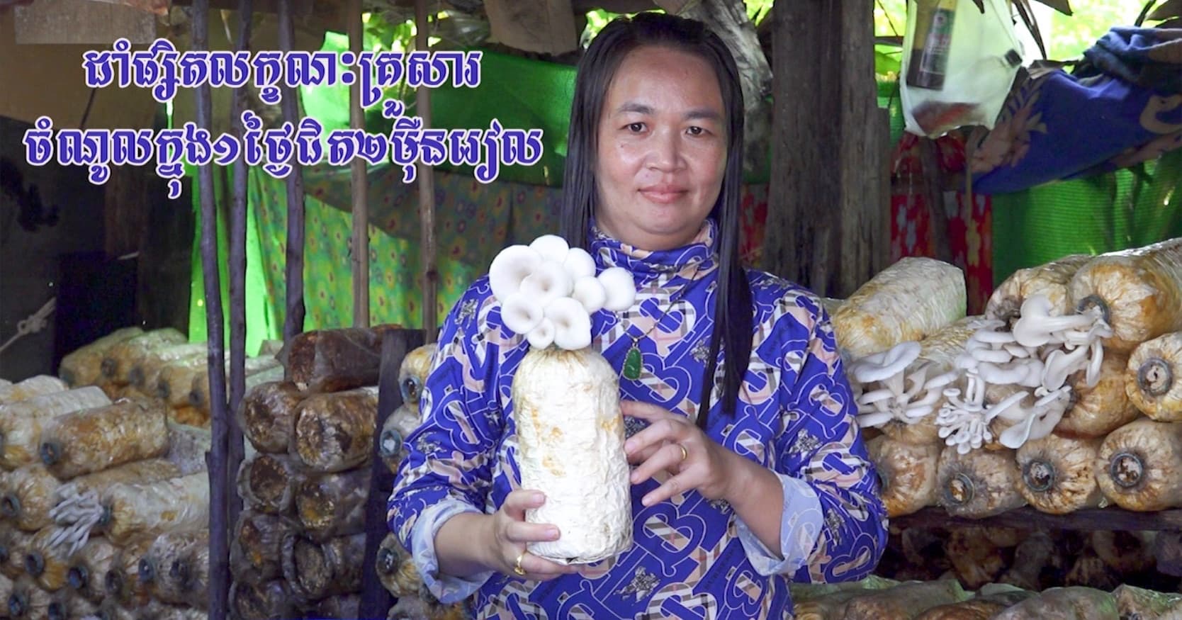 វីដេអូ៖ អតីតពលករ អ្នកស្រី អ៊ុំ រដ្ថា បានចាប់យកមុខរបរដាំផ្សិតជារបរបន្ទាប់បន្សំ ដែលអាចរកប្រាក់ចំណូលបានជិត ២ម៉ឺនរៀលជាប្រចាំថ្ងៃ សម្រាប់ផ្គត់ផ្គង់គ្រួសារបានយ៉ាងល្អ និងប្រសើរជាងការចំណាកស្រុក