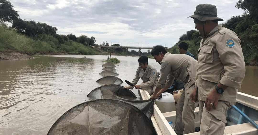 ជំនាញជលផលកំពង់ចាម សហការជាមួយអាជ្ញាធរមូលដ្ឋាន  ចុះបង្រ្កាបបទល្មើជលផល ០១ករណី នៅក្នុងភូមិសាស្ត្រស្រុកកងមាស