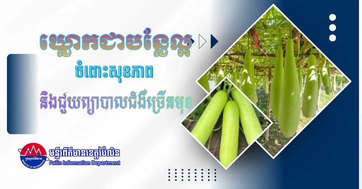 ឃ្លោកជាបន្លែល្អចំពោះសុខភាព និងជួយព្យាបាលជំងឺច្រើនមុខ